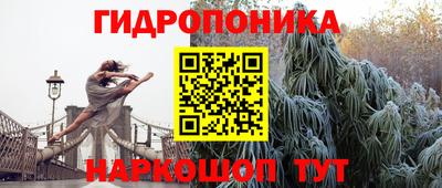 apvp Мариинск